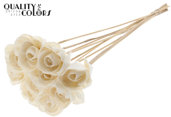 Shola Dear Holly 6cm on stem Natural