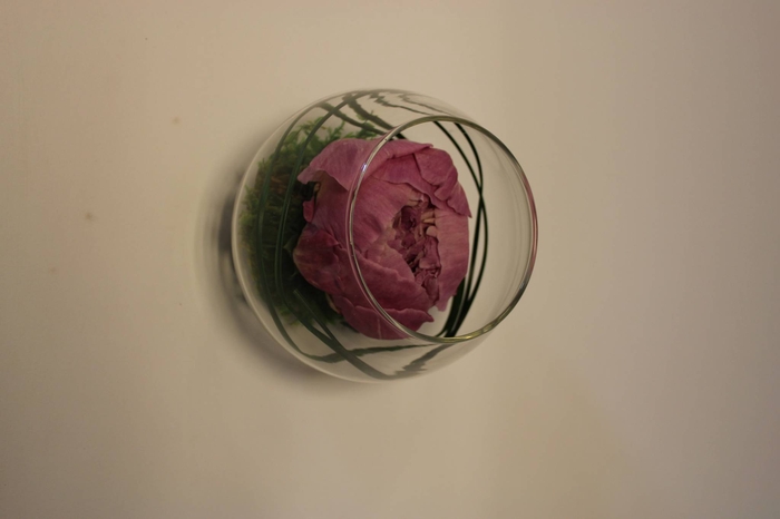 <h4>Bolvaas D12cm Pioen</h4>