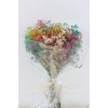 Pres Gyps Bq Rainbow Bunch Slv