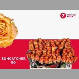 R GR SUNCATCHER