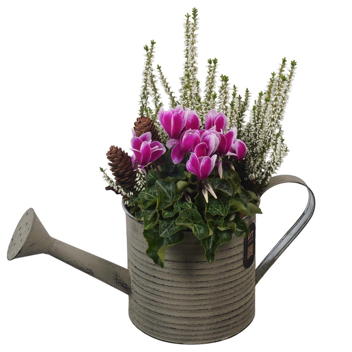 Arr.   Tuinplanten L%