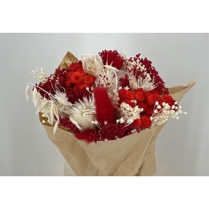 Dr Bqt Bleach Small Red