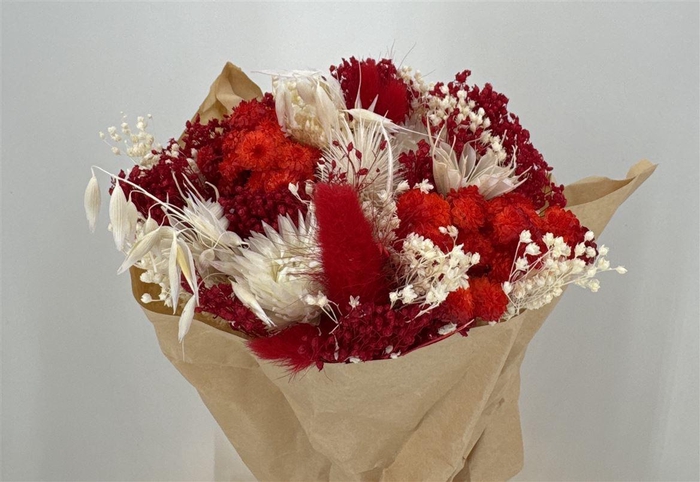 <h4>Dr Bqt Bleach Small Red</h4>