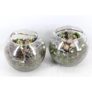 arr4 Bollenmix MB - Glas bol kl. 338/6