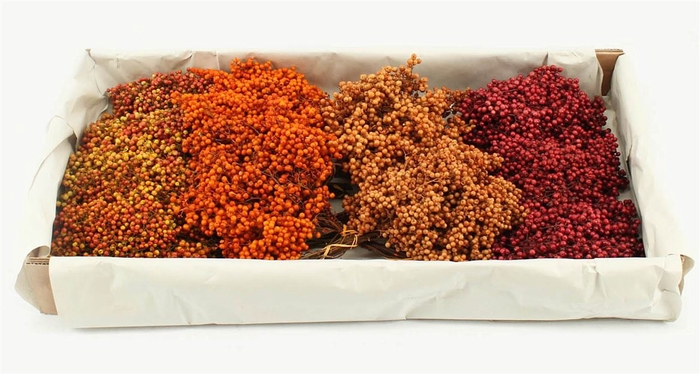 <h4>Schinus M Pt Autumn Mix Bunch</h4>