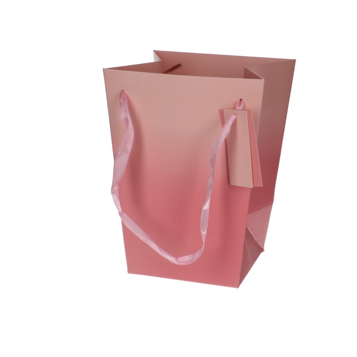 <h4>Valentine Bag Basic 15/11*20cm</h4>