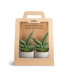 2-Pack Dune Sand, Boncellensis