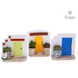 Terracotta Muurplanter met Succulenten