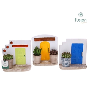 Terracotta Muurplanter met Succulenten