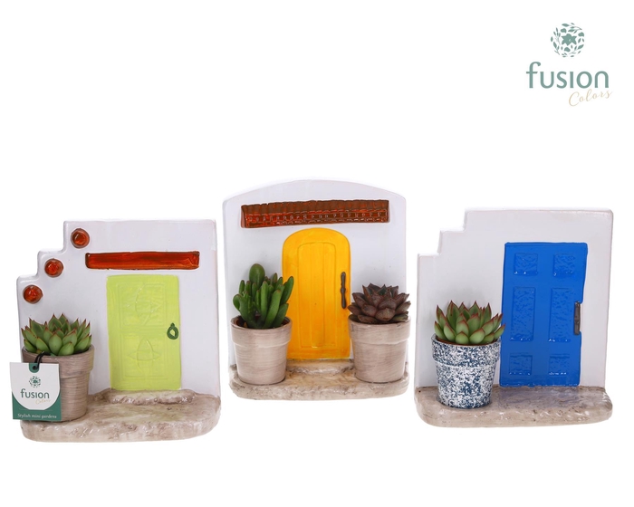 <h4>Terracotta Muurplanter met Succulenten</h4>