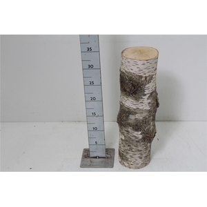 Deco Berkenstam H35 D12