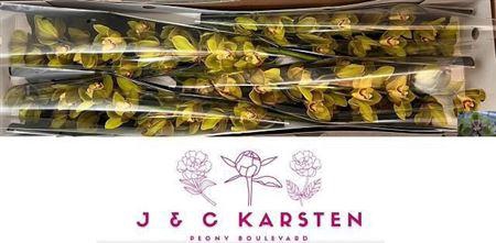 <h4>Cymb T Centerfold 100 Cm</h4>