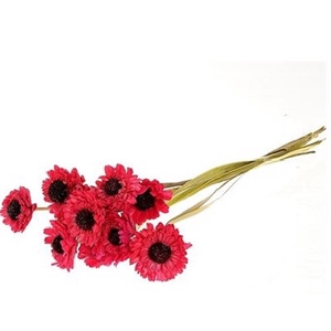 Artificial flowers Germini 60cm x10