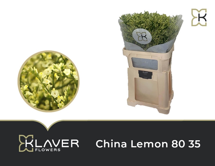 Lim Sin China Lemon 80 35