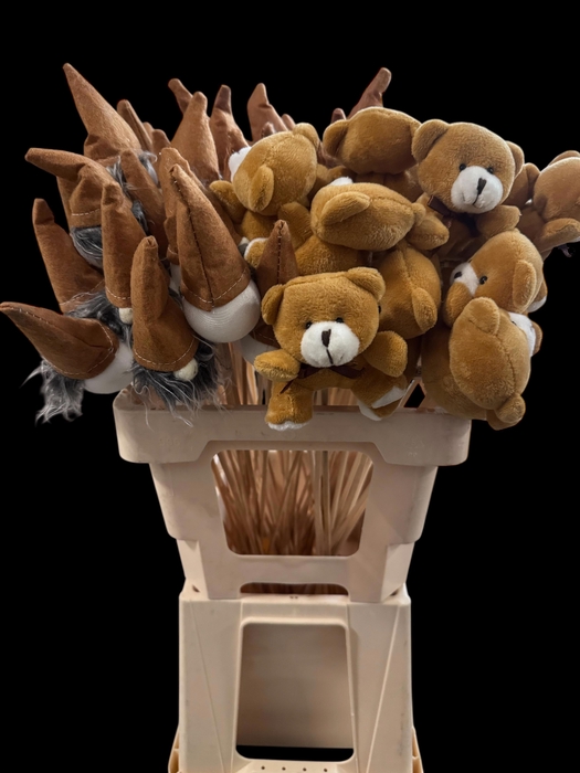 <h4>HUIS EN TUINDECO H%</h4>