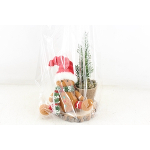 arr2 PL - Gingerbread op schijf