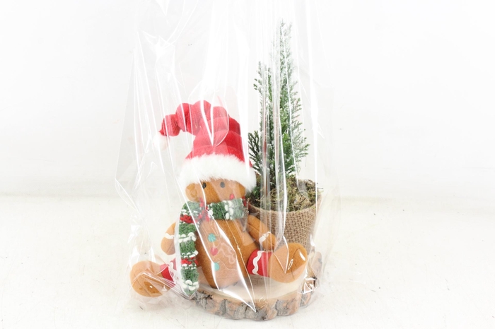 <h4>arr2 PL - Gingerbread op schijf</h4>