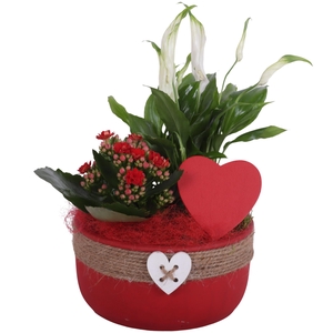 Valentine Arr. Indoor Ceramic Bowl Round Rope Heart Red Ø18cm 2P