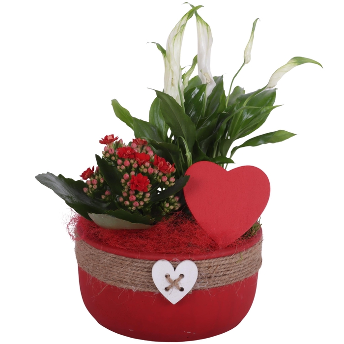 <h4>Valentine Arr. Indoor Ceramic Bowl Round Rope Heart Red Ø18cm 2P</h4>