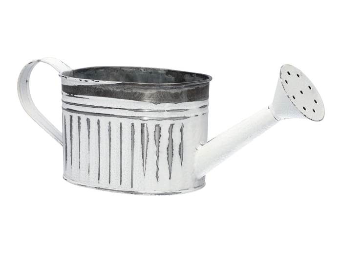 <h4>DF04-666775900 - Wateringcan Zelta 13x9x9 white</h4>