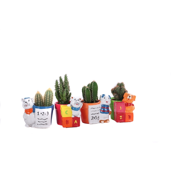 <h4>Cactus dieren reken en taal planter 5,5 cm</h4>