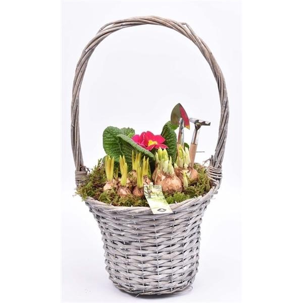 <h4>Wilg hengselmand 24 cm</h4>