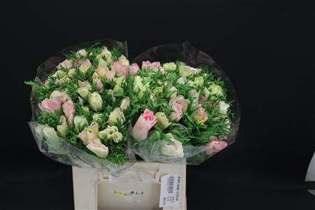 <h4>Anem Zwaar Lichtrose</h4>