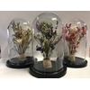 Stolp medi d12x20h dried bouquet