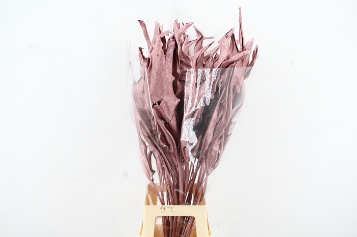 <h4>DF Strelitzia Leaf Antiq. Pink</h4>
