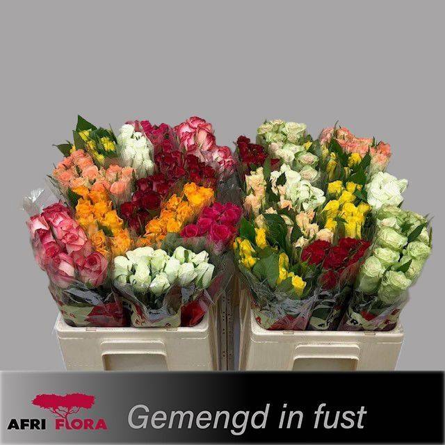 <h4>R KL GEM IN FUST chambre</h4>