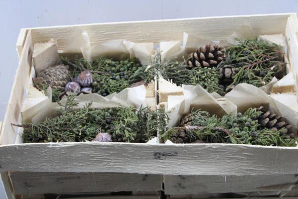 <h4>Deco Mix Bakjes</h4>