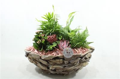 <h4>SC12 WW PINK DRIFTWOOD</h4>
