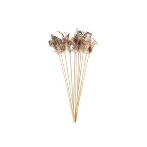 Pick Feather Natural 50cm Ass P/12 Nm