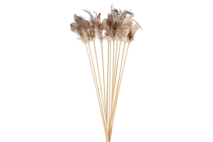 Pick Feather Natural 50cm Ass P/12 Nm