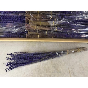 PF Lavendel Dark Purple