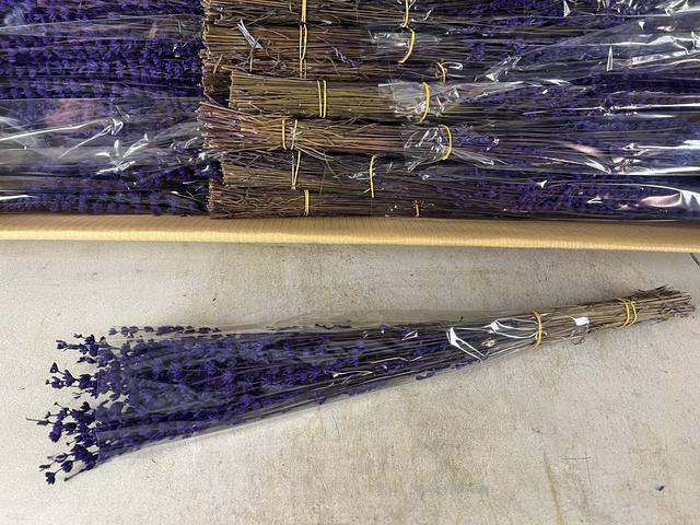 <h4>PF Lavendel Dark Purple</h4>