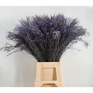 Genista 400gr Col Milka