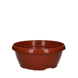 Plastic Bowl classic d25*11cm
