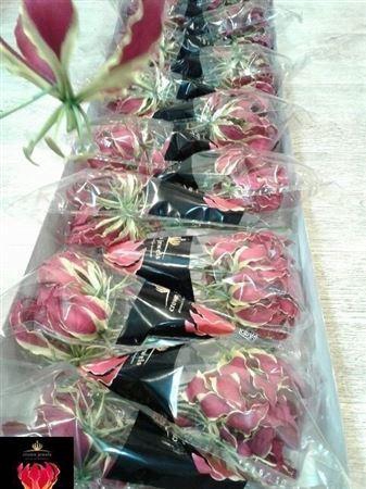<h4>Gloriosa Rothschild</h4>