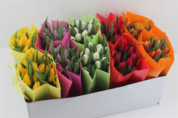 <h4>Boeket Tulp In Tas Mix (uni Kleur)</h4>