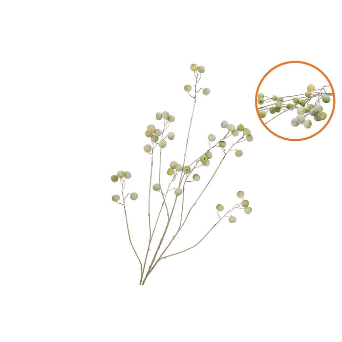 <h4>Silk Apple Snow Green 135cm</h4>