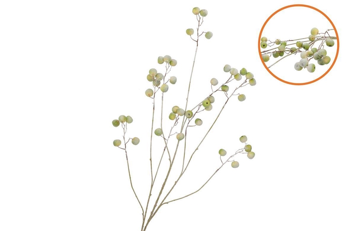 Silk Apple Snow Green 135cm