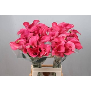 Calla Captain Romance