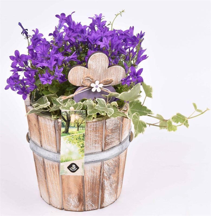 <h4>Hout pot 15cm</h4>