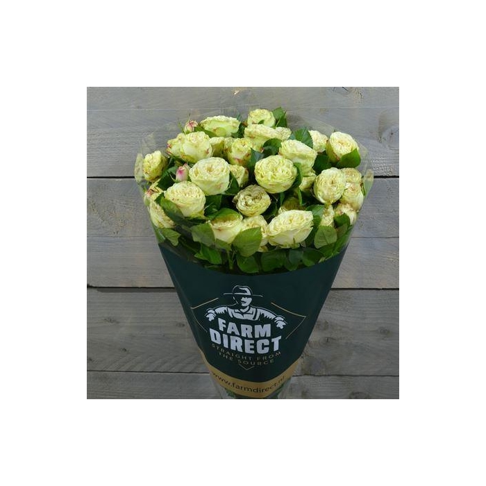 <h4>R Tr Limousine</h4>