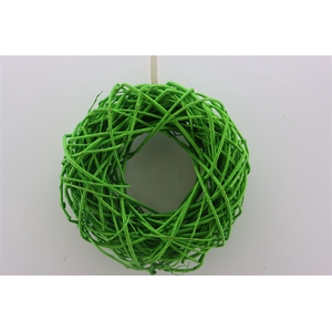 Wr Cornus Carnaval Green 30cm