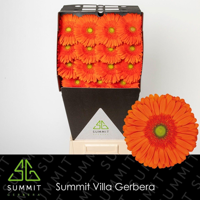 <h4>GE GR ATLANTA</h4>