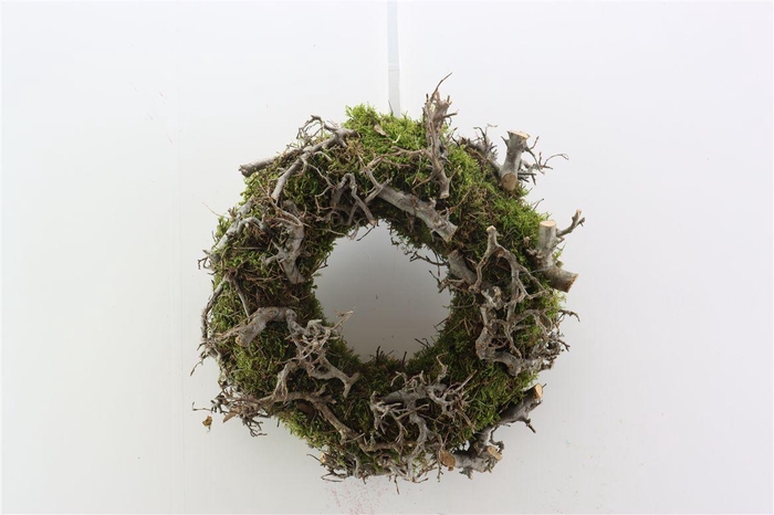 <h4>Wr Bonsai Moss 30cm</h4>