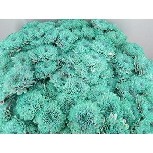 Chr T Altaj Bubbelicious