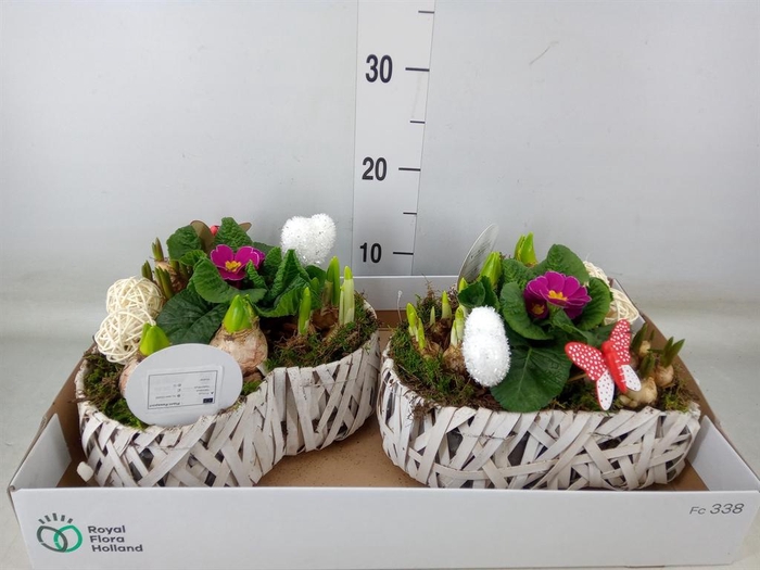 <h4>Arr.   Bol/Knolgewas L%</h4>